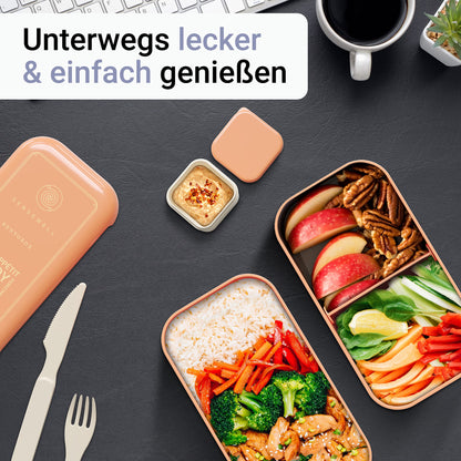 SENSEWELL Lunchbox mit Fächern - Brotdose für Erwachsene & Kinder - Bottle World